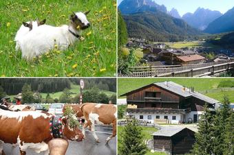 Bauernhof Villgrater am Ort - Umgebung