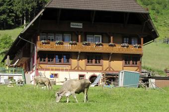 Bauernhof Wäldebauernhof - Aussenansicht