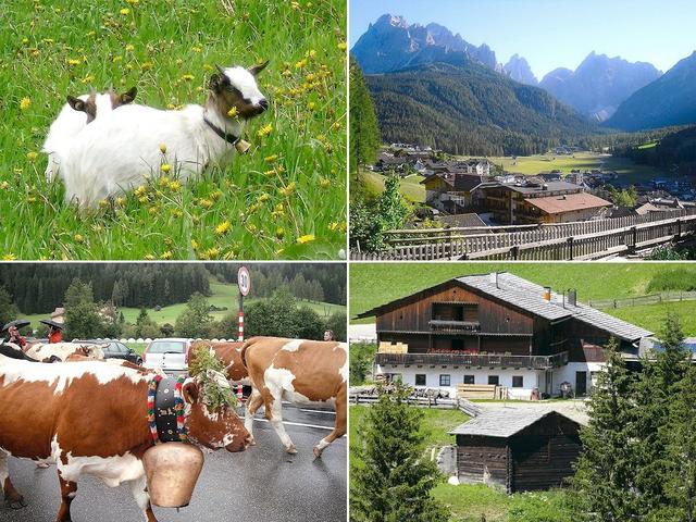 Bauernhof Villgrater am Ort - Umgebung