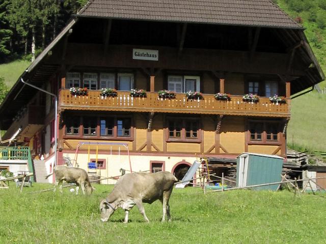 Bauernhof Wäldebauernhof - Aussenansicht